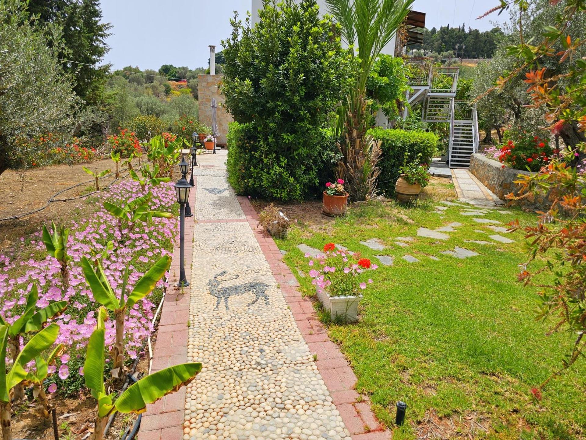 Galini View Apartments Lindos Exteriér fotografie